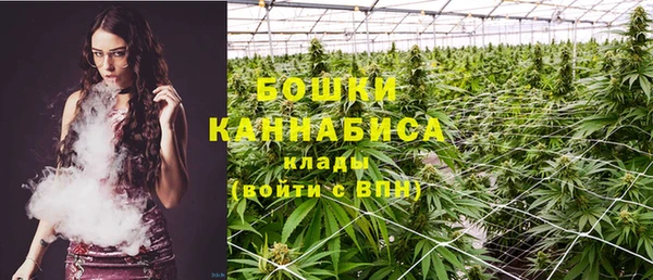 бошки Осинники